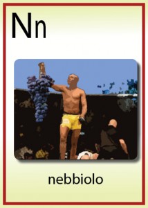 nebbiolo