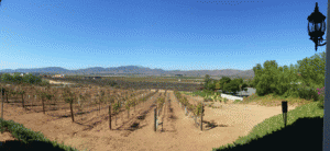 Guadalupe Valley