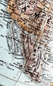 Baja Wines