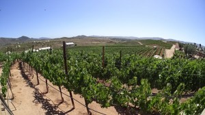 guadalupe Valley