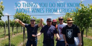 10 things about uruguay wines