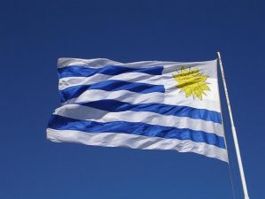 Uruguay wine