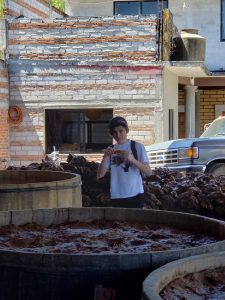 Cooked Agave